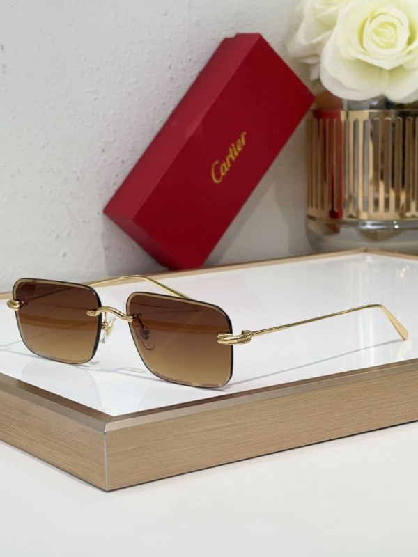 Cartier Glasses 08smh97 (3)