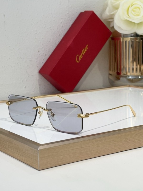 Cartier Glasses 08smh97 (4)