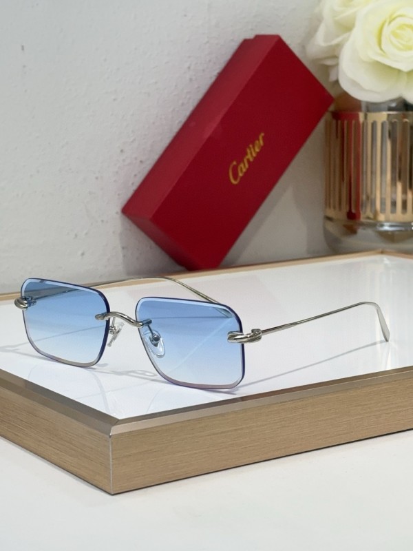 Cartier Glasses 08smh97 (5)
