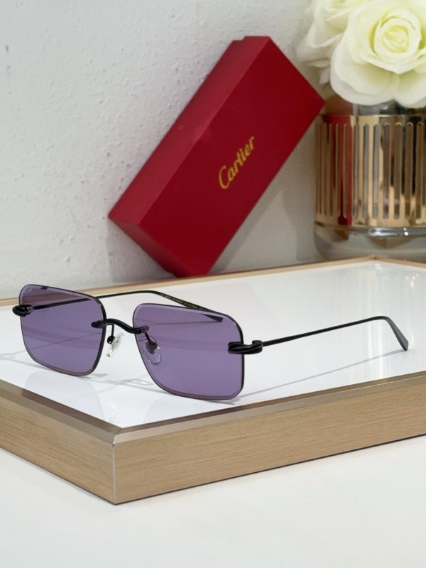 Cartier Glasses 08smh97 (6)