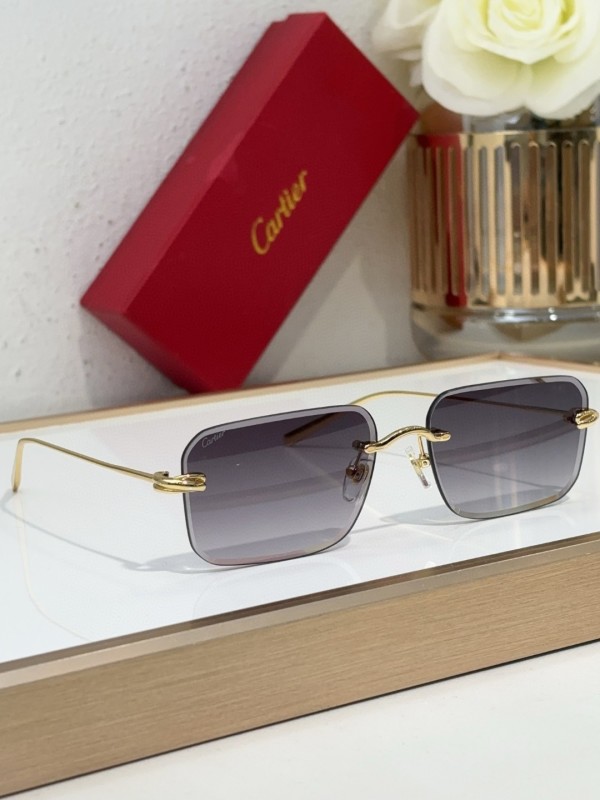 Cartier Glasses 08smh97 (8)