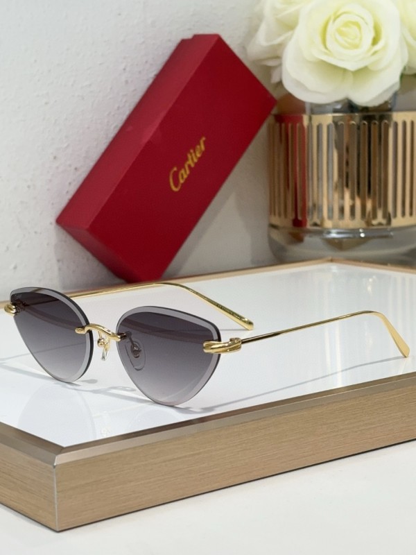 Cartier Glasses 08smh98 (1)