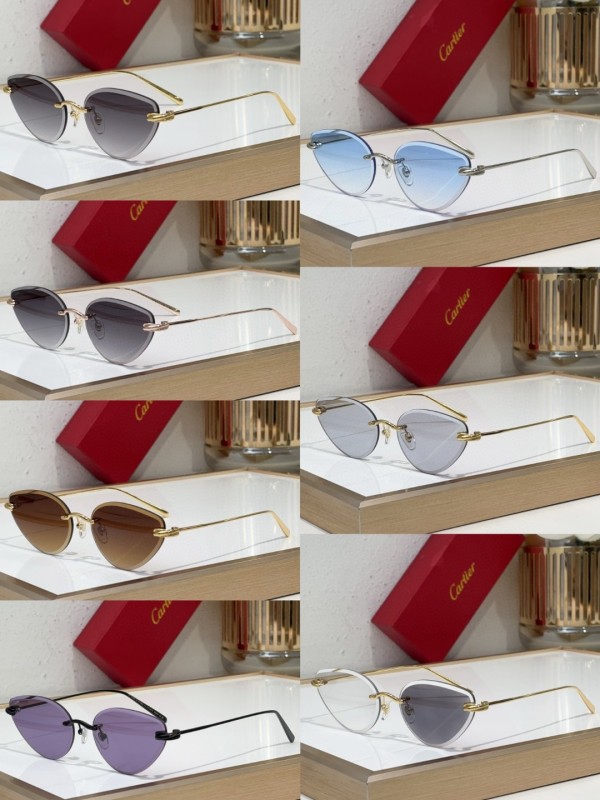 Cartier Glasses 08smh98 (10)