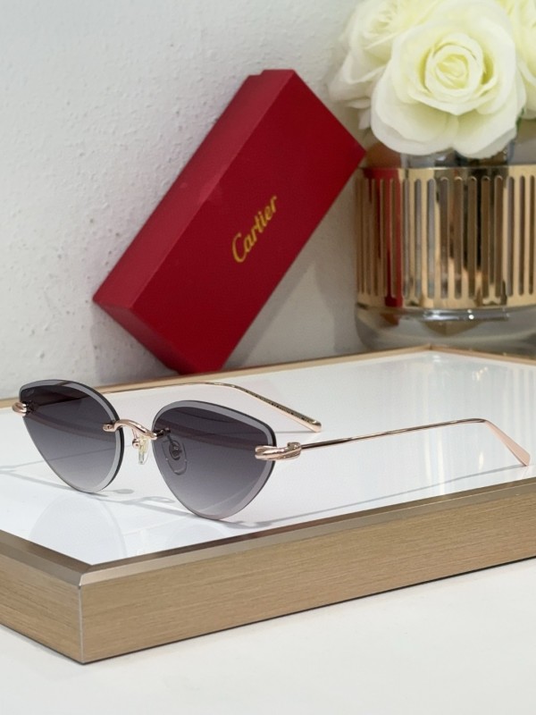 Cartier Glasses 08smh98 (2)