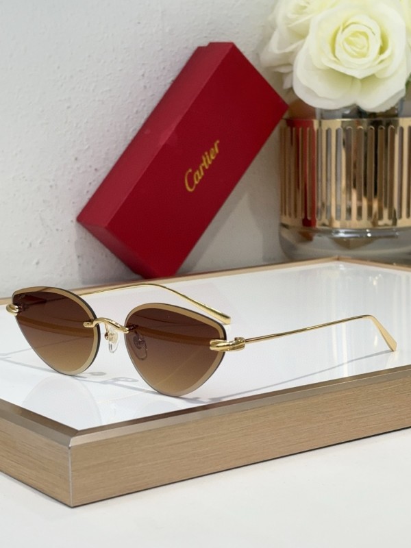 Cartier Glasses 08smh98 (3)