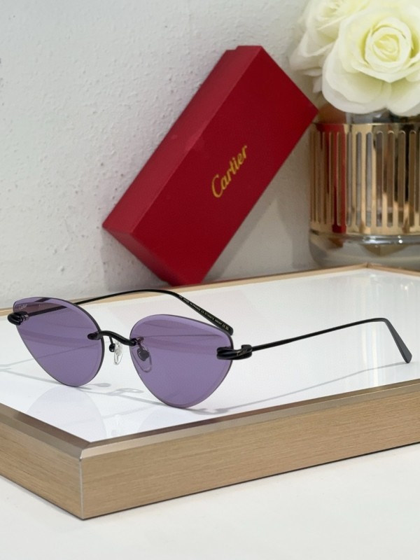 Cartier Glasses 08smh98 (4)