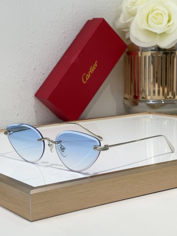 Cartier Glasses 08smh98 (5)