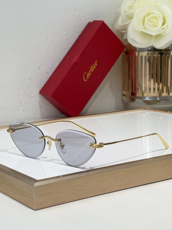 Cartier Glasses 08smh98 (6)