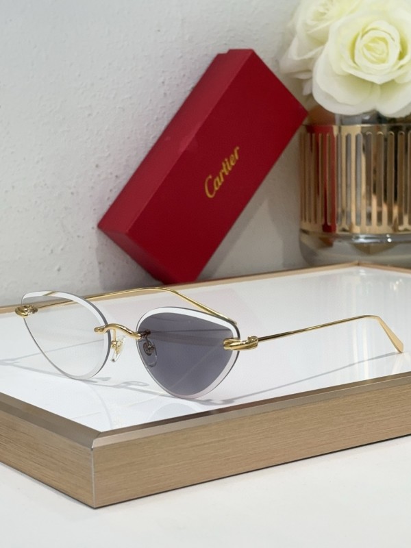 Cartier Glasses 08smh98 (7)