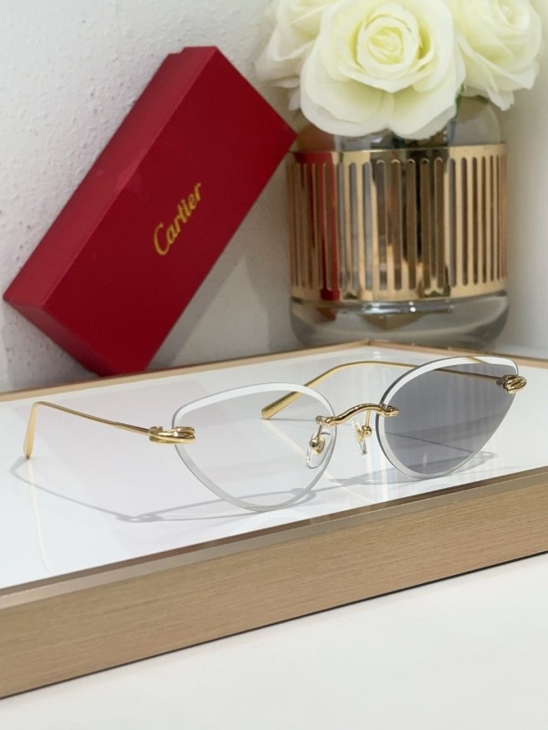 Cartier Glasses 08smh98 (8)
