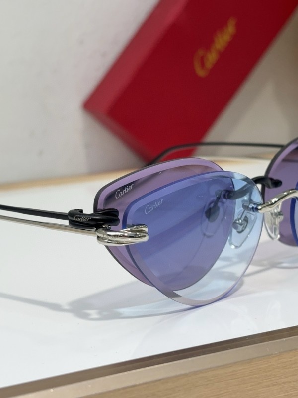 Cartier Glasses 08smh98 (9)