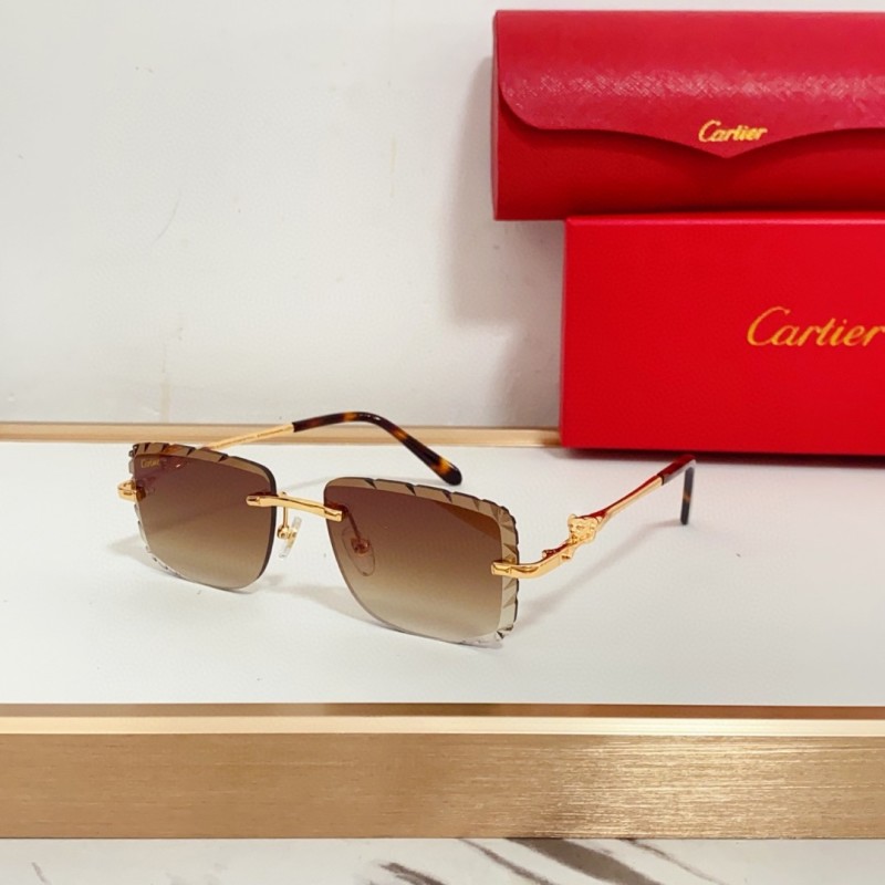 Cartier Glasses 08smh99 (1)
