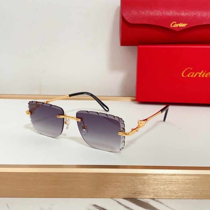 Cartier Glasses 08smh99 (3)