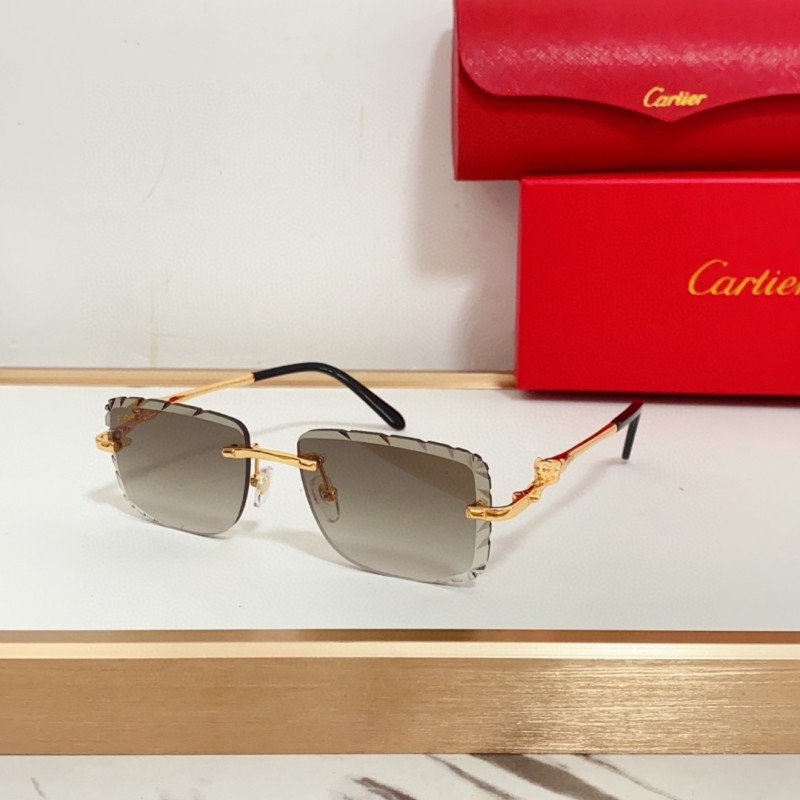 Cartier Glasses 08smh99 (6)