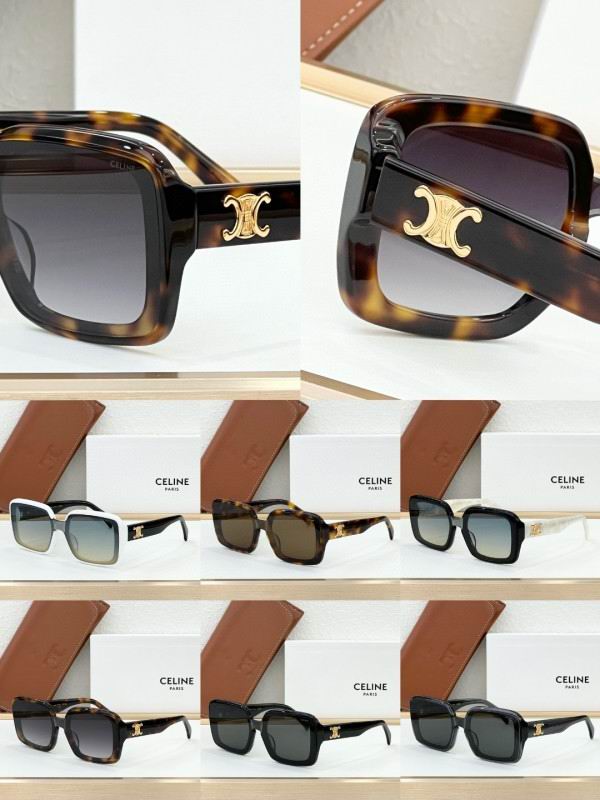 Celine Glasses 08smh44 (10)