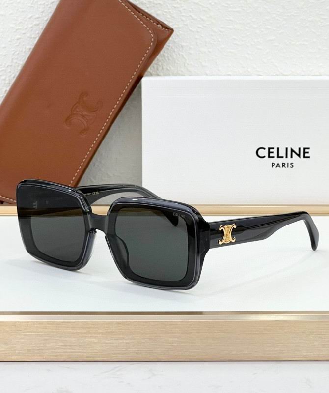 Celine Glasses 08smh44 (2)