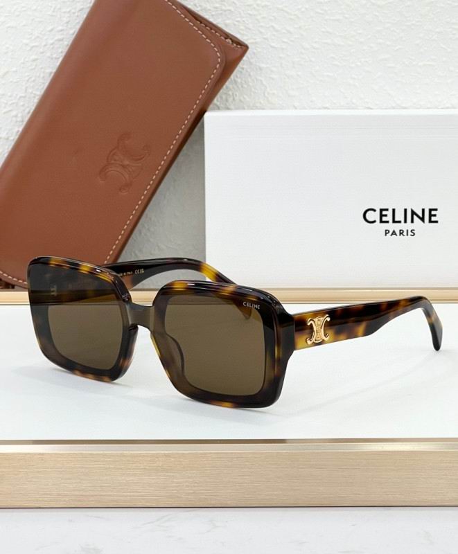 Celine Glasses 08smh44 (4)