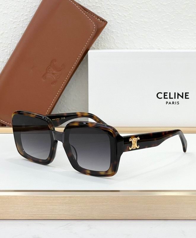Celine Glasses 08smh44 (5)