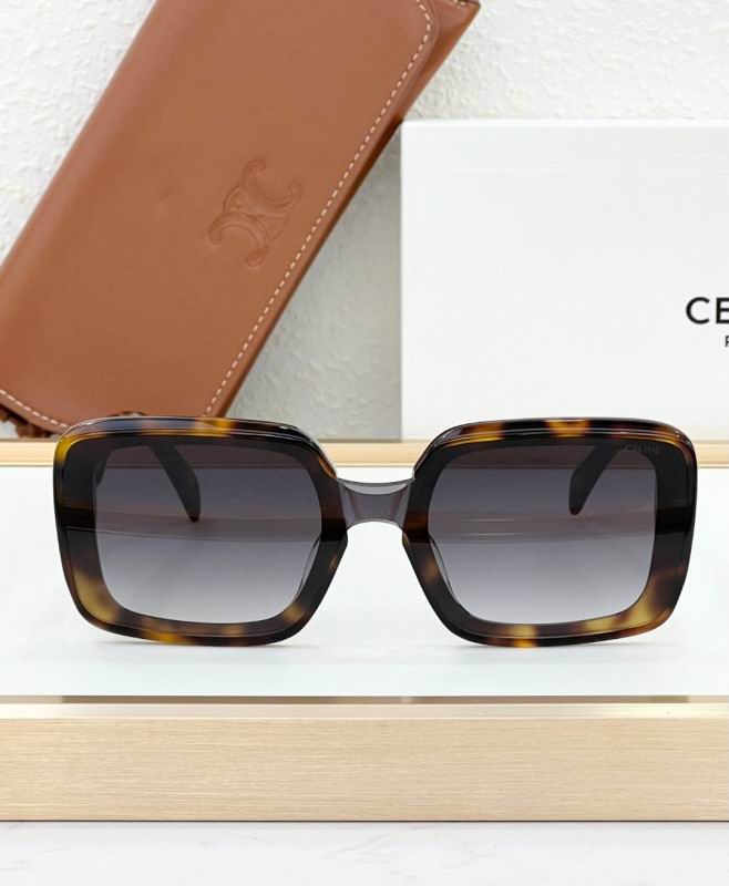 Celine Glasses 08smh44 (7)