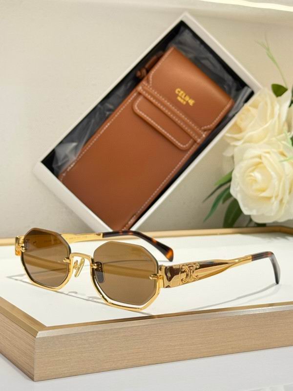 Celine Glasses 08smh49 (2)