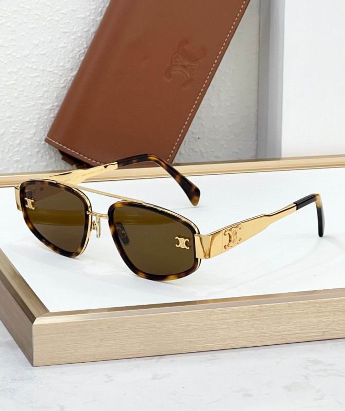 Celine Glasses 08smh51 (6)