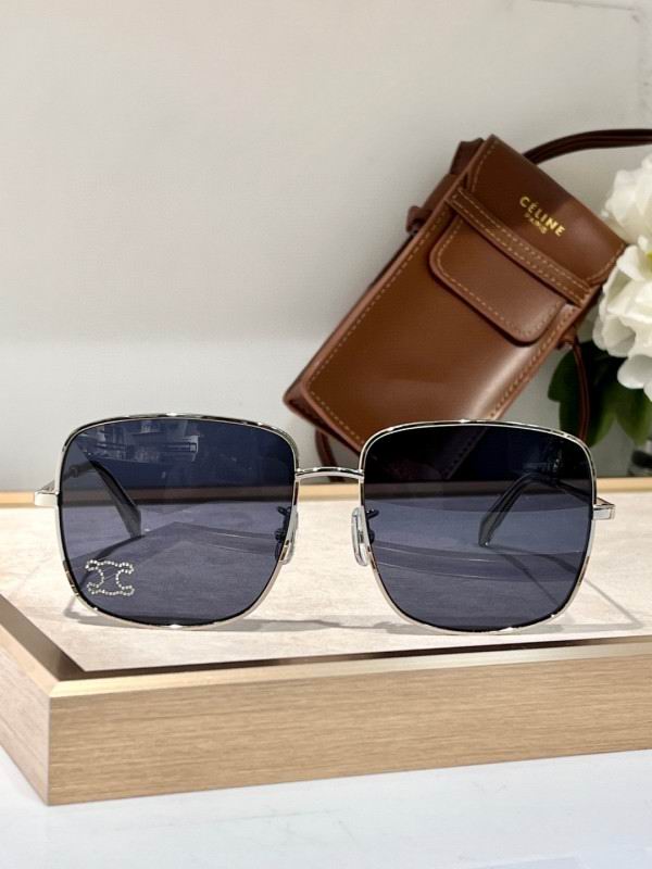 Celine Glasses 08smh52 (1)