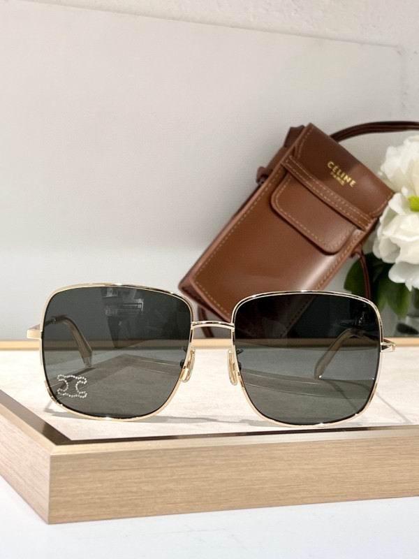 Celine Glasses 08smh52 (2)