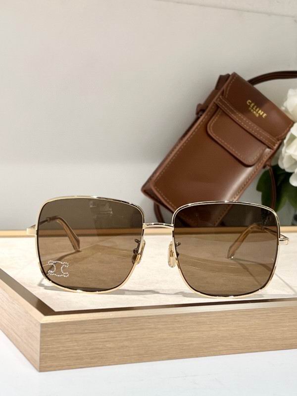 Celine Glasses 08smh52 (3)