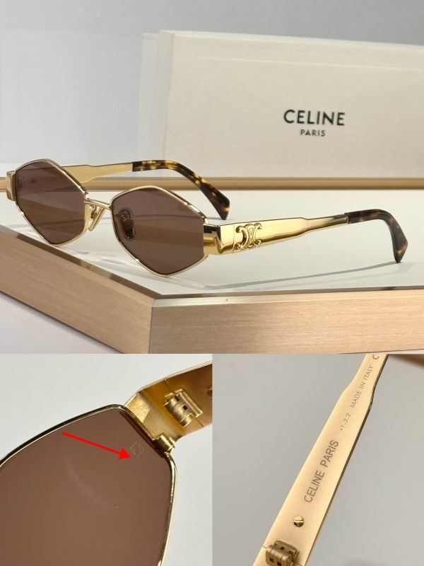 Celine Glasses 08smh54 (1)