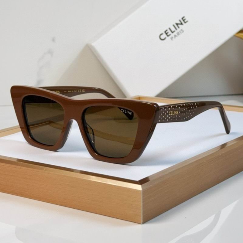 Celine Glasses 08smh55 (1)