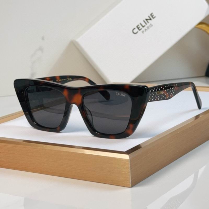 Celine Glasses 08smh55 (3)