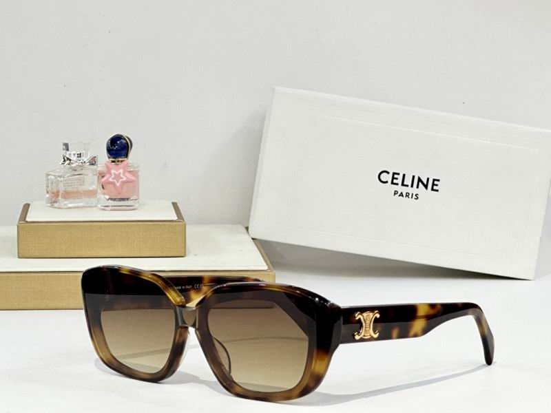 Celine Glasses 08smh58 (4)