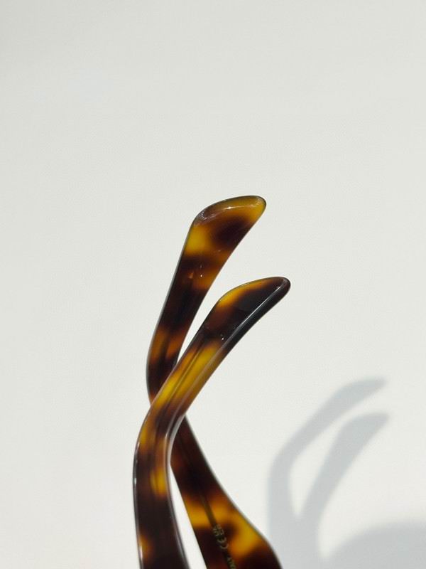 Celine Glasses 08smh58 (8)