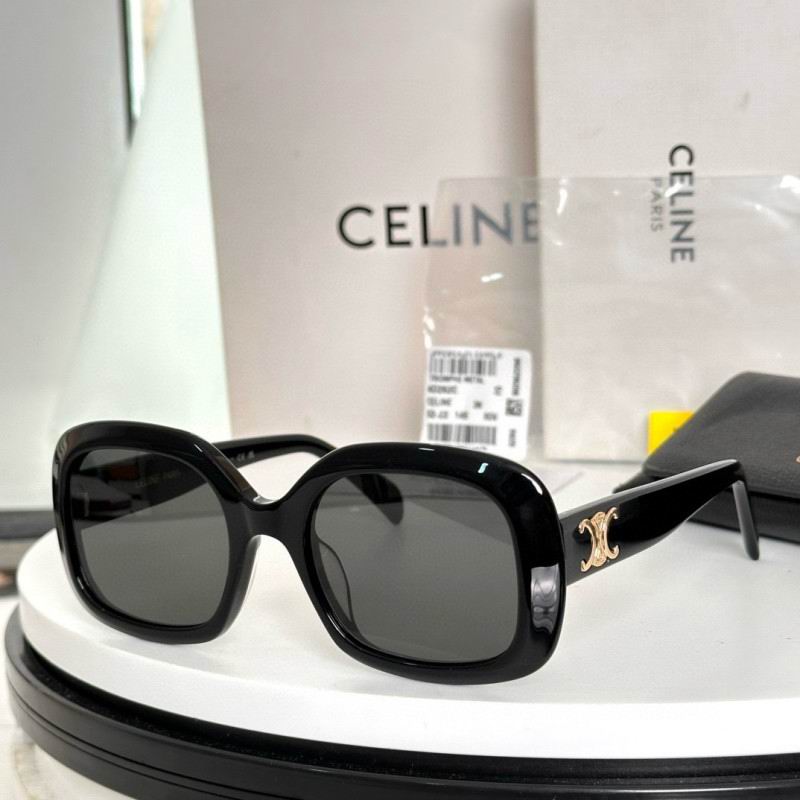Celine Glasses 08smh69 (5)