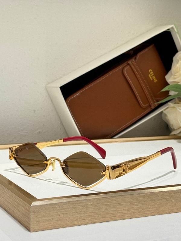 Celine Glasses 08smh73 (3)