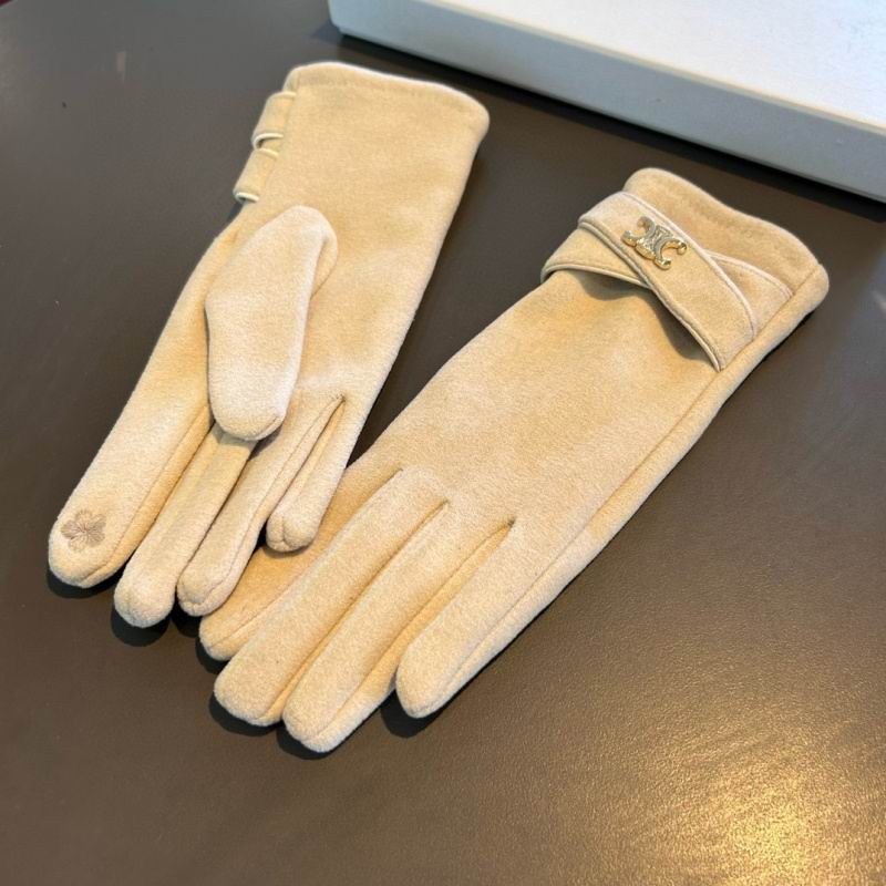 Celine gloves hm (16)