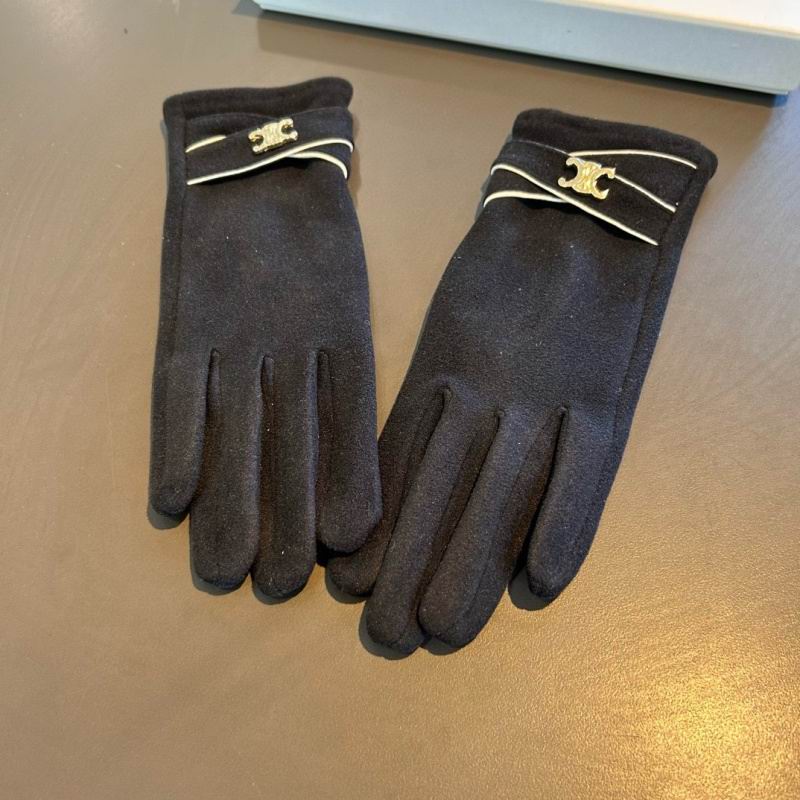 Celine gloves hm (20)
