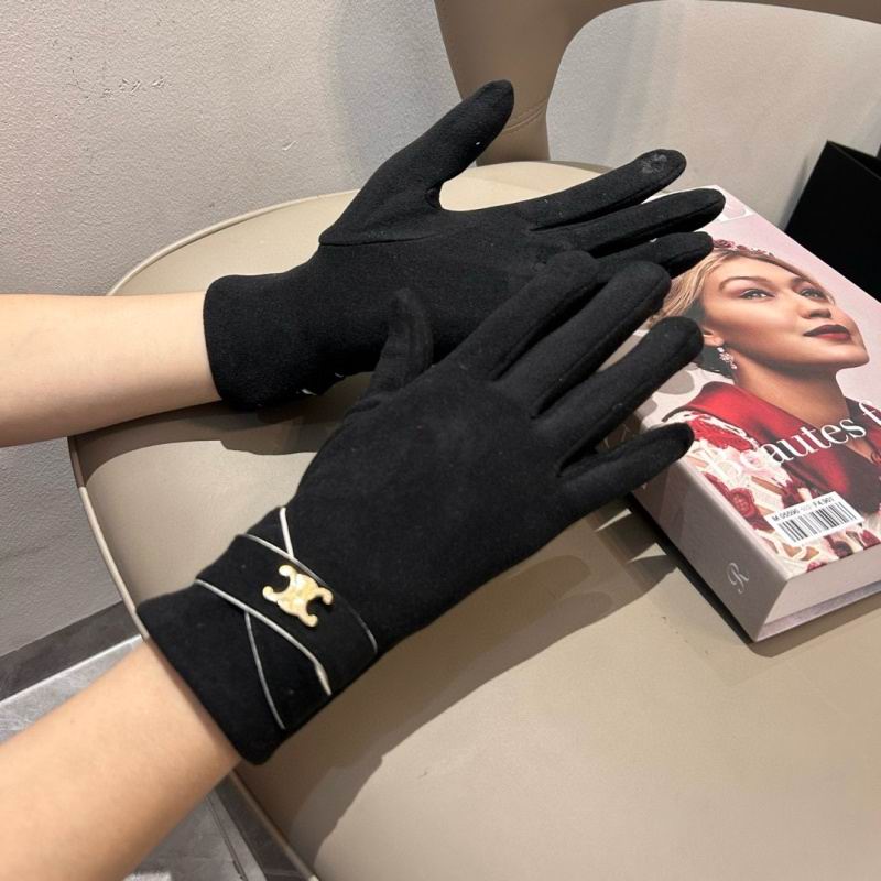 Celine gloves hm (21)