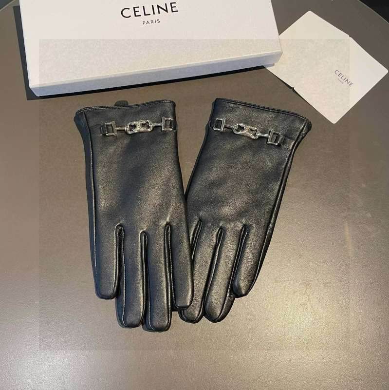 Celine gloves hm (24)