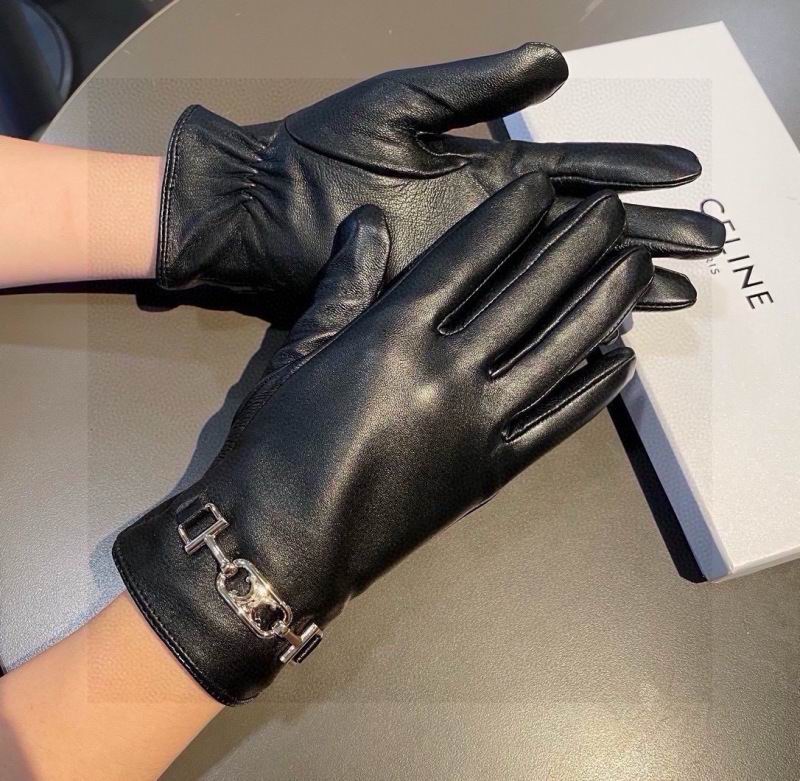 Celine gloves hm (25)