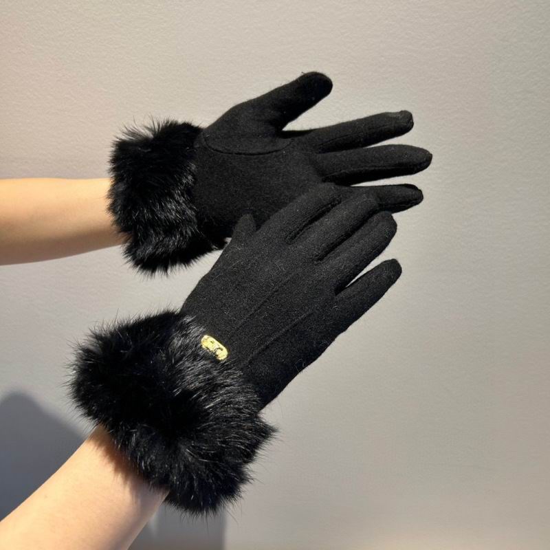 Celine gloves hm (3)