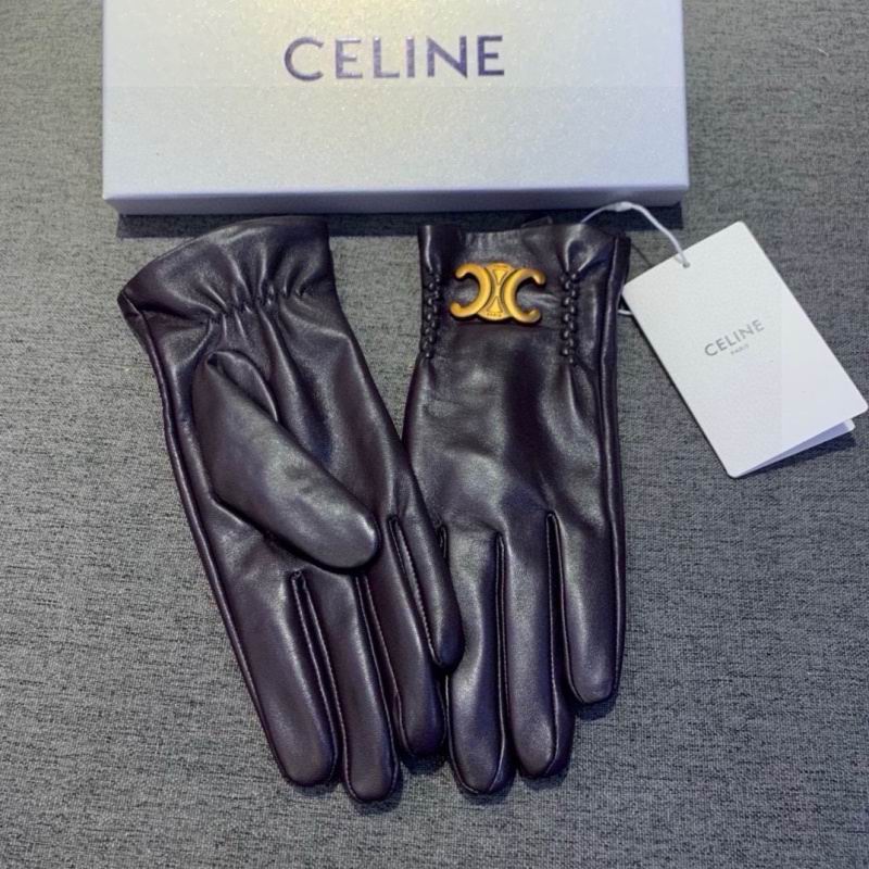 Celine gloves hm (31)