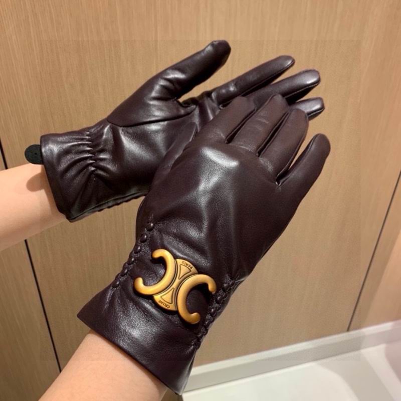 Celine gloves hm (33)