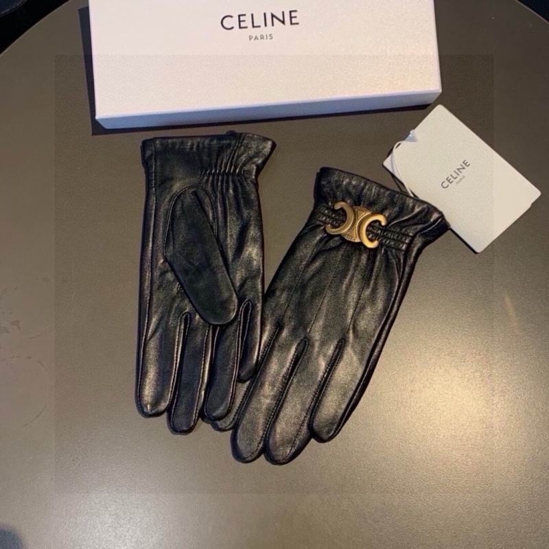 Celine gloves hm (39)