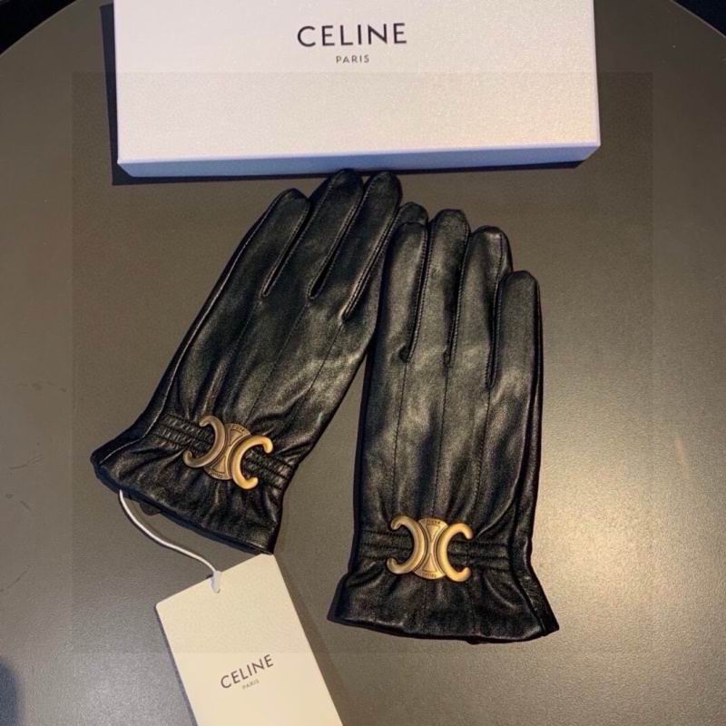 Celine gloves hm (40)