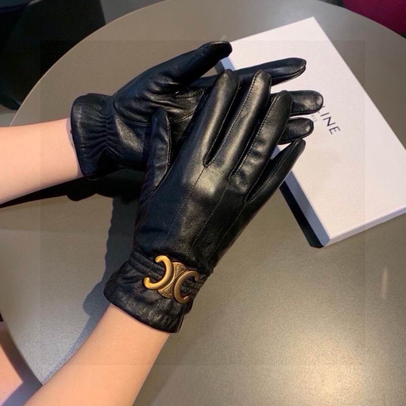 Celine gloves hm (41)