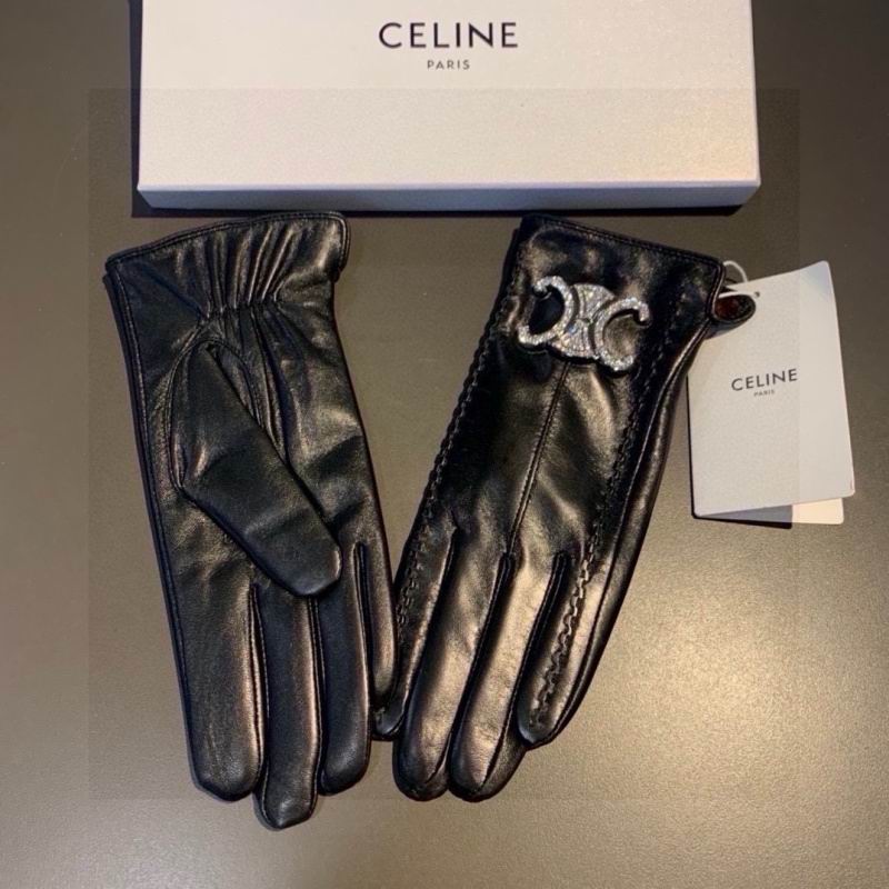 Celine gloves hm (43)