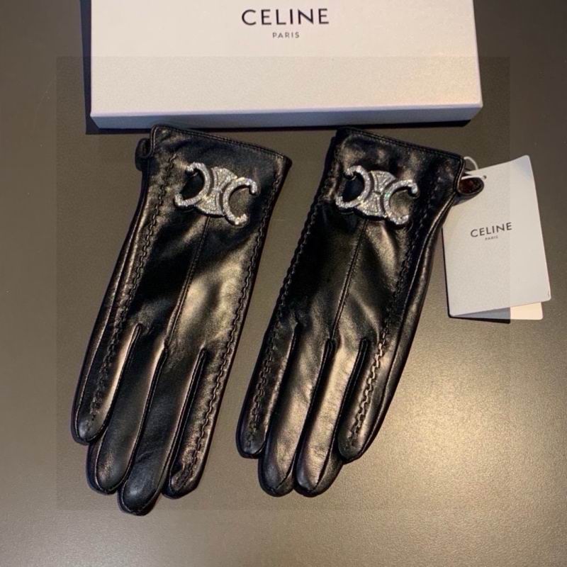 Celine gloves hm (44)