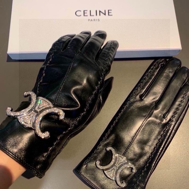 Celine gloves hm (45)
