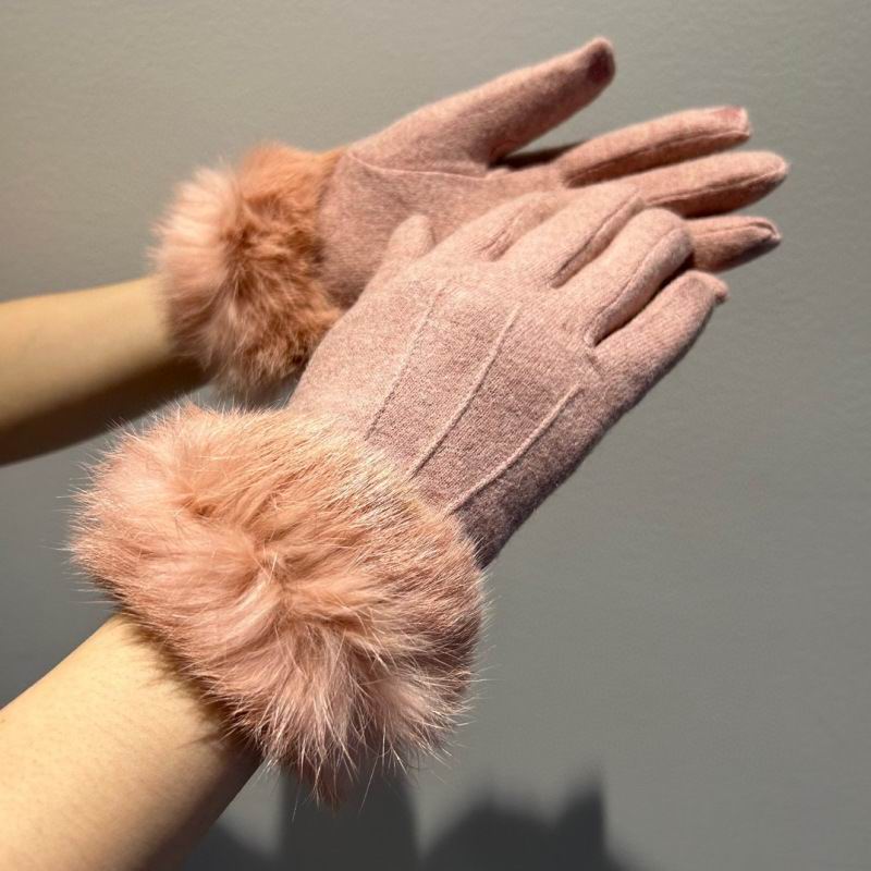 Celine gloves hm (7)